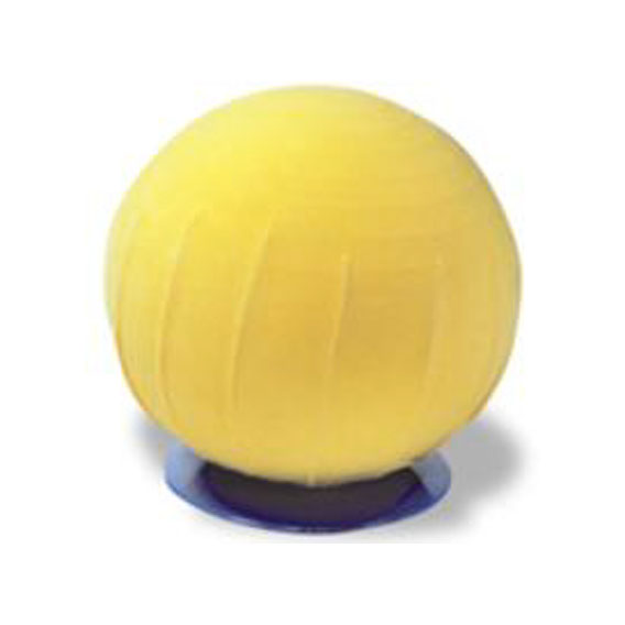 Pelviball